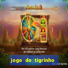 jogo do tigrinho jojo todynho